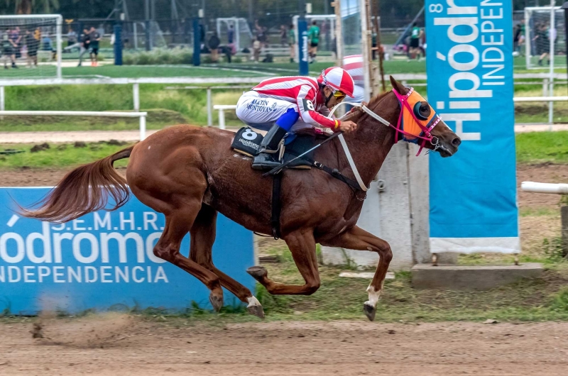 Reunión N°10/2025